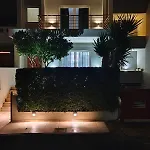Iroko * 파트라