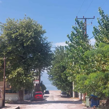 Iroko Villa