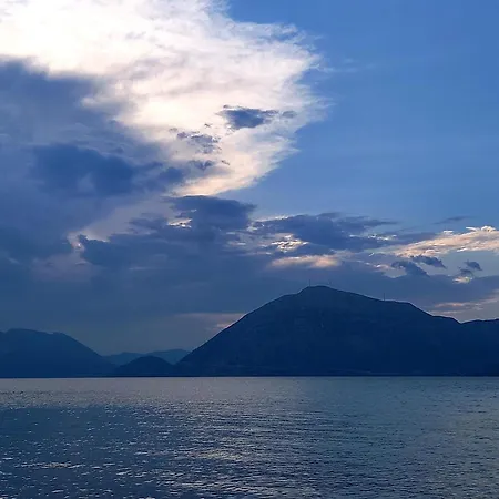 Iroko Willa