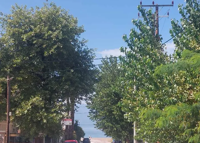 Iroko Villa